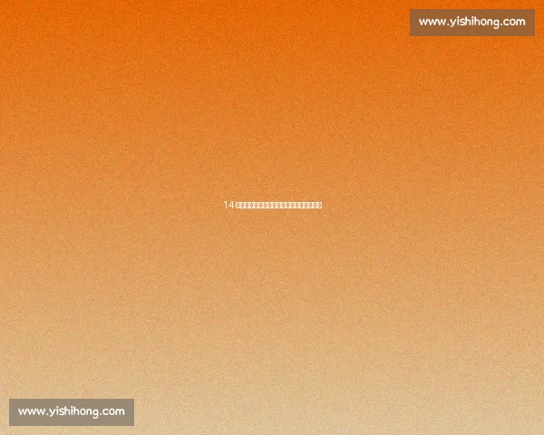 14 岁混血新星李安妮：国少核心的女篮一队梦